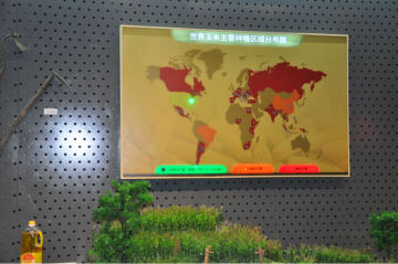 Architectural models,Museum model&scene recovery,Electronic chart