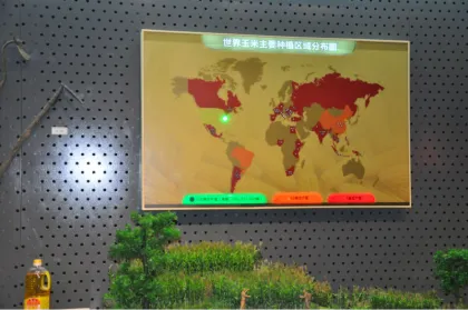 Architectural models,Museum model&scene recovery,Electronic chart