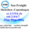 Mare di Shenzhen che spediscono a Copenaghen