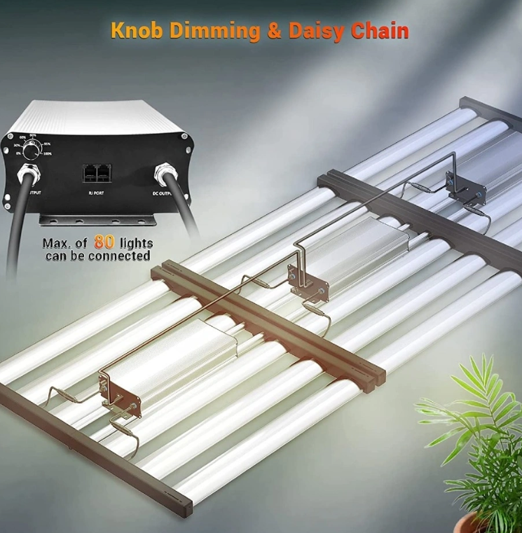 Full-color plant lights provide efficient full-spectrum lighting for plant growth