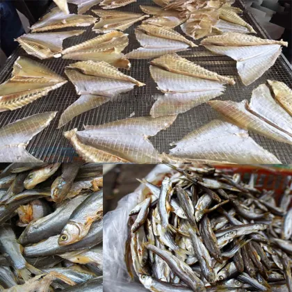 Industrial Dehydrators: From Lemon Slices to Mango Beef Jerky