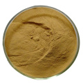 Ginger Extract Gingerol Powder 5% 10%