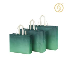 Laminated Three Dimensional Bag for Daily Use