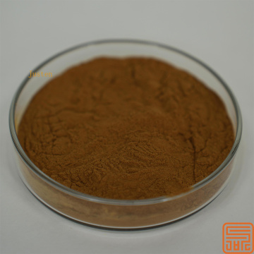 Extracto de corteza de canela polifenoles de canela 10%
