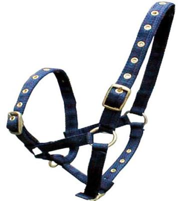 horse product,horse halter