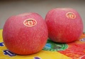 New Fresh Fuji apple dengan High Quality