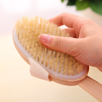 Q005 bathroom high quality body clean brush
