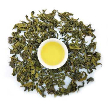 Té de pólvora orgánica natural puro: bebida de salud herbal de alta calidad