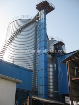 Professional Chain Bucket Elevator Manufacturer in Shanghai