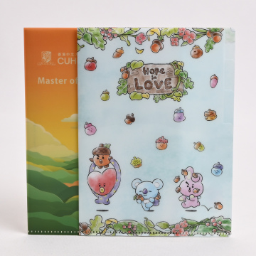 Custom A4 A5 Classification File Folders for Office and School - Wholesale Color Printing Design Documents Organizer