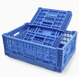 Foldable Mesh Plastic Crate for Fruit Vegetable Seafood