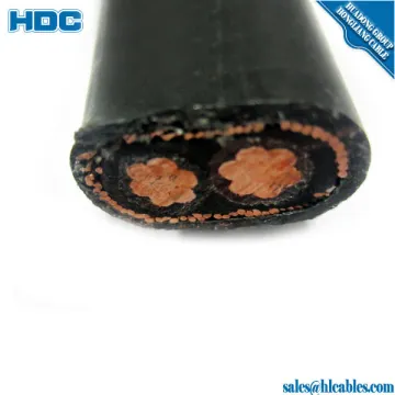 Flexible cable 2C 185mm2 sac cable electrical copper XLPE/PVC Concentric Cable