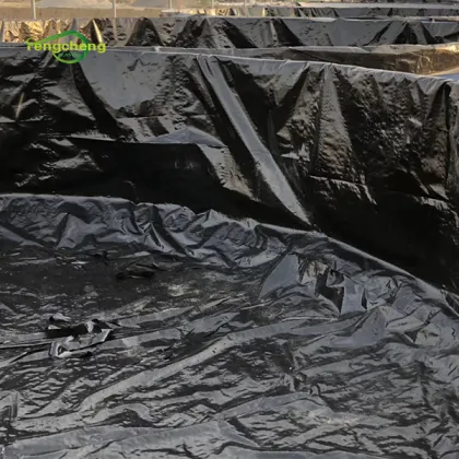 Standard Fish Pond HDPE Geomembrane Pond Liner