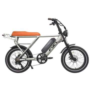Moto elettrico a vendita a caldo marchio FYCL con pneumatico grasso: scooter a lungo raggio e e-bike di montagna