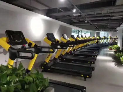 Adjustable High-Quality Electric Treadmills On Sale - Shua Treadmill