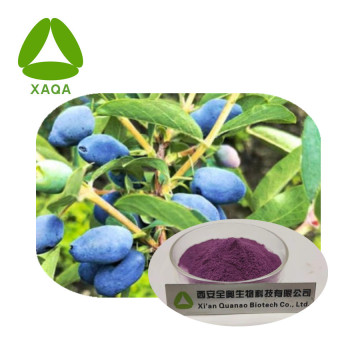 Antioxidant Lonicera Caerulea Extract Anthocyanin Powder