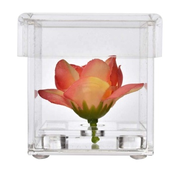 Clear Acrylic Flower Display Box Square Small