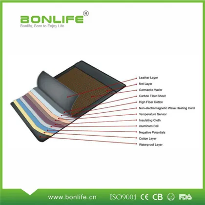 Electric Massage Mattress