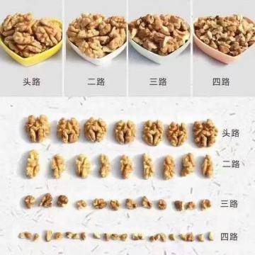 Variedad de nueces de Yunnan para todas las necesidades