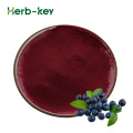 Health Plant Fd Freeze Dried Blueberry Fruit powder