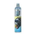 RandM Tornado 7000 Puffs Disposable Rechargeable Vape