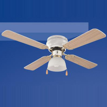 Decorative Ceiling Fan