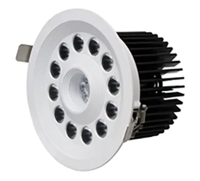 Modern 40W Open Hole 145mm LED Downlight for Jewelry Showcase
