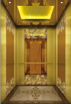 Elevator & lifts for Residential House villa lift