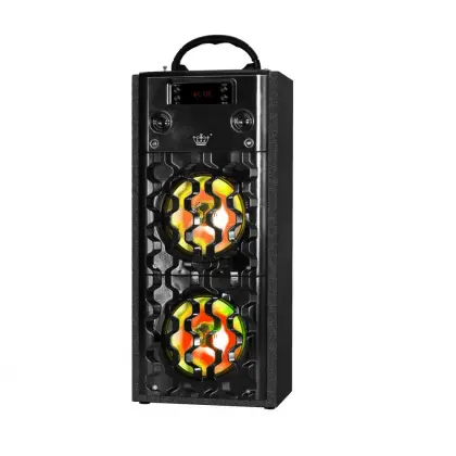 subwoofer  with FM Radio Speaker