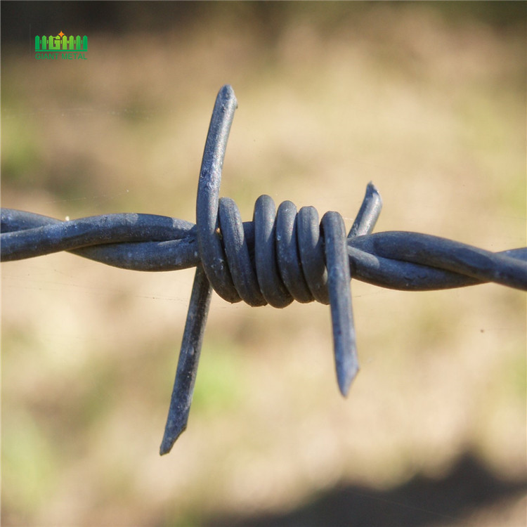 Barbed wire roll price fence