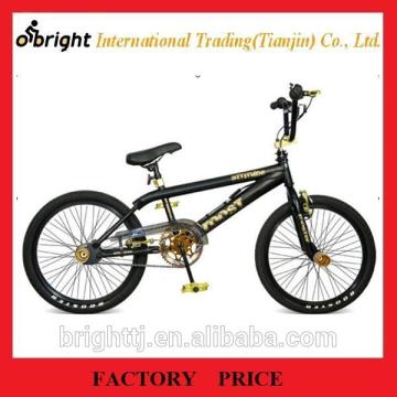 20 inch freestyle BMX bike