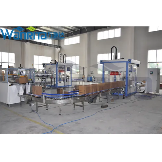 Automatic Carton Unfolding and Sealing Machine with Case Erector