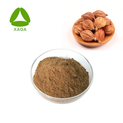 Amomum Tsaoko Extract Powder Fruit