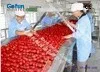 High Pressure Water Spray Fruit Washing Machine