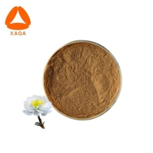 Vegan Snow lotus powder Saussurea involucrata extract 30:1