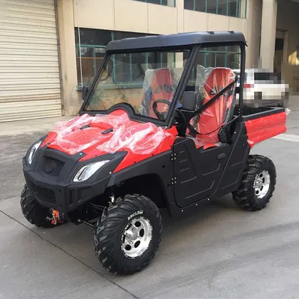 800cc 4x4 Dune Buggy/UTV