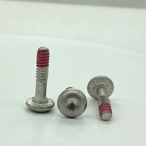 Tornillos de cabeza del botón hexadecimal 10#-24*20.5 Tornillos especiales