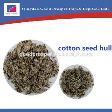 Animal Feed Cotton seed hull