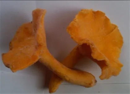 Frozen Wild Chanterelles Mushrooms