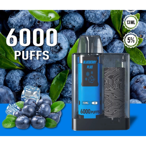 Disposable Vape Smoke 5000 Puffs Wholesale