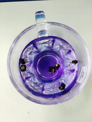 Organic Wild Black Wolfberry