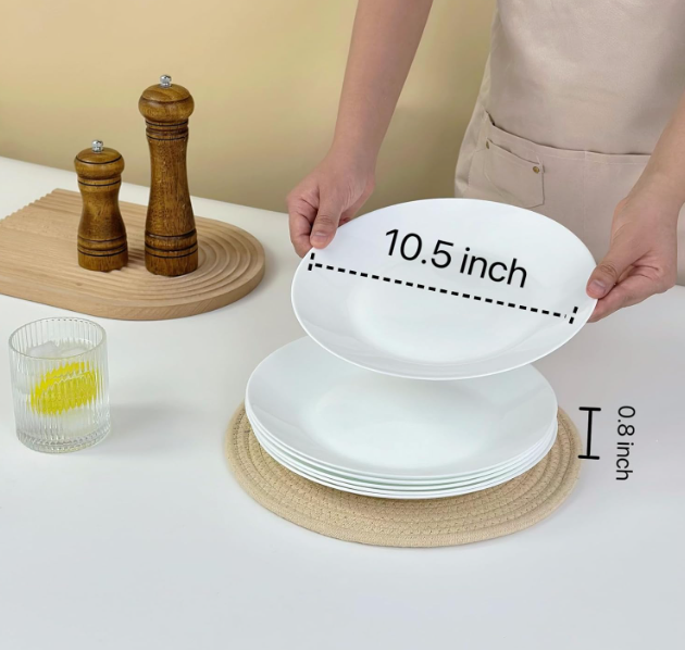 Minimalist Dinner Plate for Modern Dining