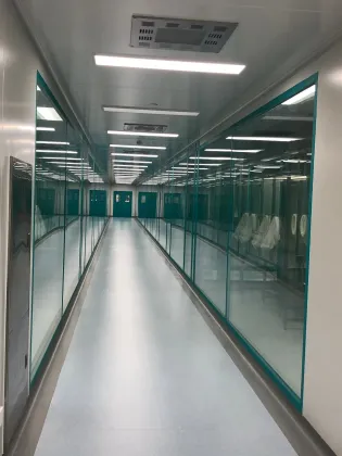 Aluminum Frame Hollow Double Tempered Glass View Window