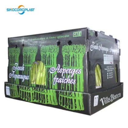 Hydrocooled Asparagus Packaging: 5kg Asparagus in Plastic Box