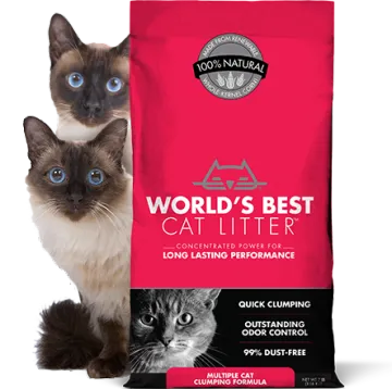 Cat Litter Custom Plastic Packaging Bag
