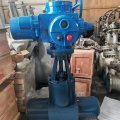 DN100-DN600 Power station valve (electric gate valve)