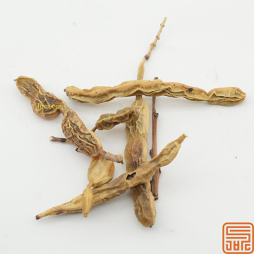 Extracto de Sophora japonica Sophoricósido 20%
