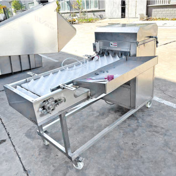 Automatic Fish Market Stick Cutting and Deheading Machine