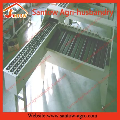 Automatic egg classifying machine eggs grading machine