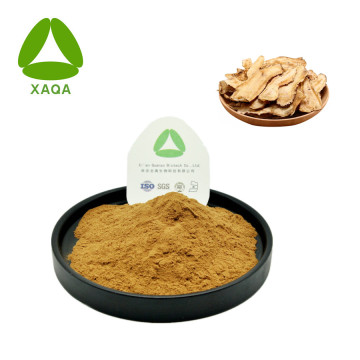 Angelica Acutiloba Root Extract Chinese Angelica Powder